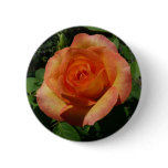 Peach Rose Orange Floral Photography Button