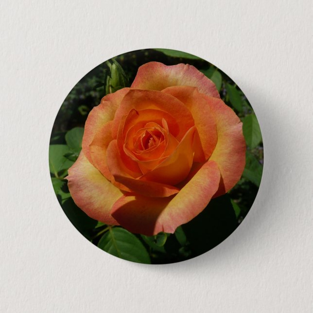 Peach Rose Orange Floral Photography Button (Front)