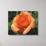 Peach Rose Orange Floral Photography Canvas Print