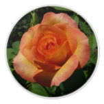 Peach Rose Orange Floral Photography Ceramic Knob