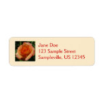 Peach Rose Orange Floral Photography Label