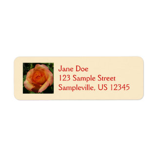 Peach Rose Orange Floral Photography Label