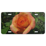 Peach Rose Orange Floral Photography License Plate
