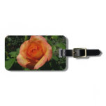 Peach Rose Orange Floral Photography Luggage Tag