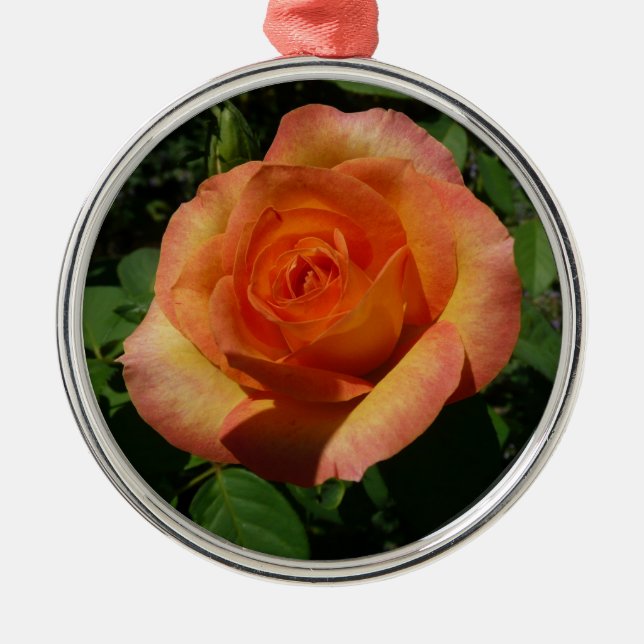 Peach Rose Orange Floral Photography Metal Ornament (Front)