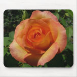 Peach Rose Orange Floral Photography Mouse Pad