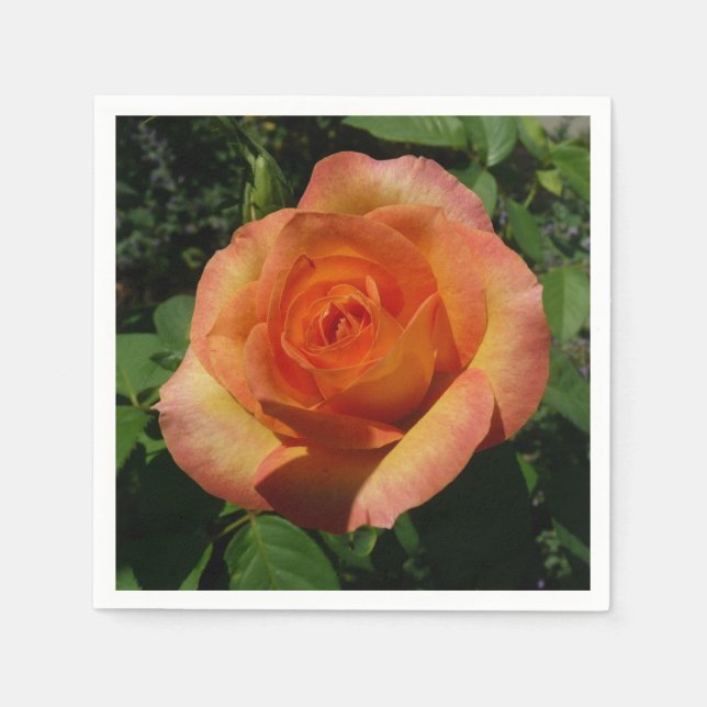 Peach Rose Orange Floral Photography Napkins (Front)