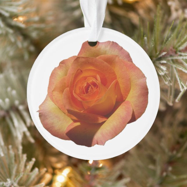 Peach Rose Orange Floral Photography Ornament (Tree)