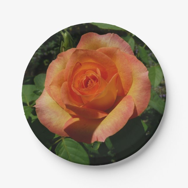 Peach Rose Orange Floral Photography Paper Plates (Front)