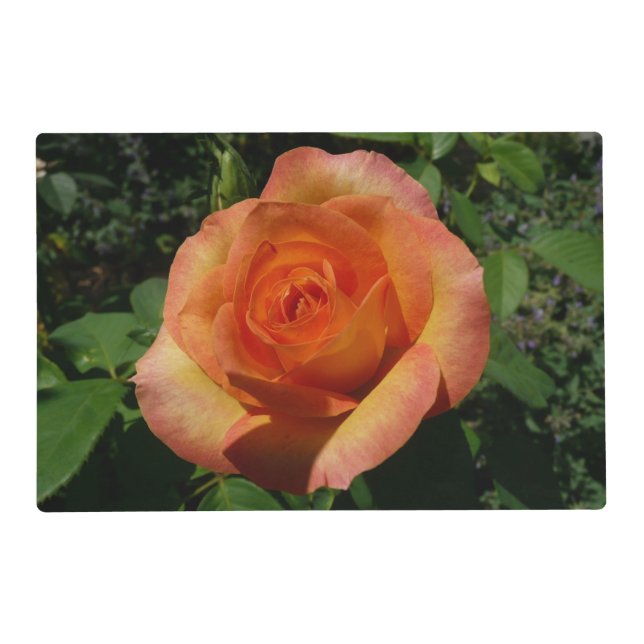 Peach Rose Orange Floral Photography Placemat (Front)