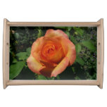 Peach Rose Orange Floral Photography Serving Tray
