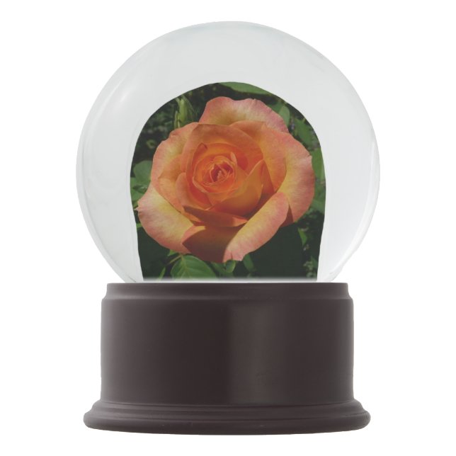 Peach Rose Orange Floral Photography Snow Globe (Front)