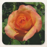 Peach Rose Orange Floral Photography Square Paper Coaster