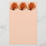 Peach Rose Orange Floral Photography Stationery