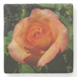 Peach Rose Orange Floral Photography Stone Coaster