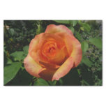 Peach Rose Orange Floral Photography Tissue Paper