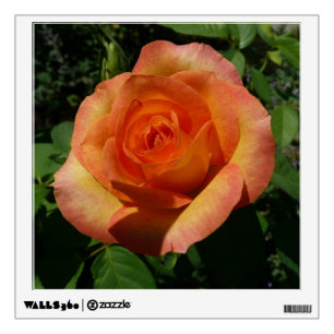 Peach Rose Orange Floral Photography Wall Sticker