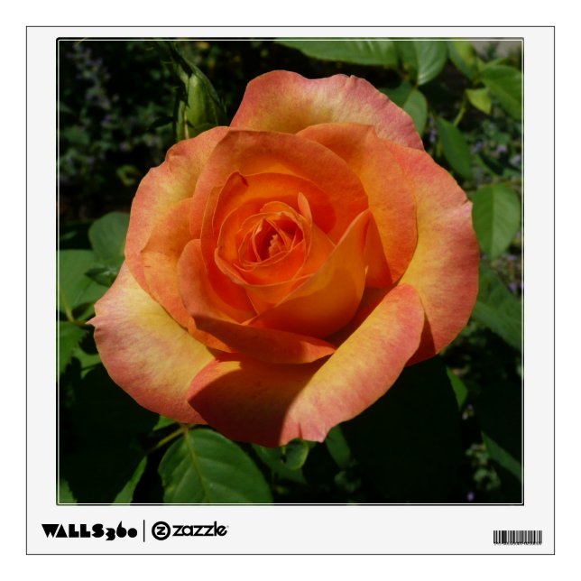 Peach Rose Orange Floral Photography Wall Sticker (Front)