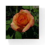 Peach Rose Paperweight
