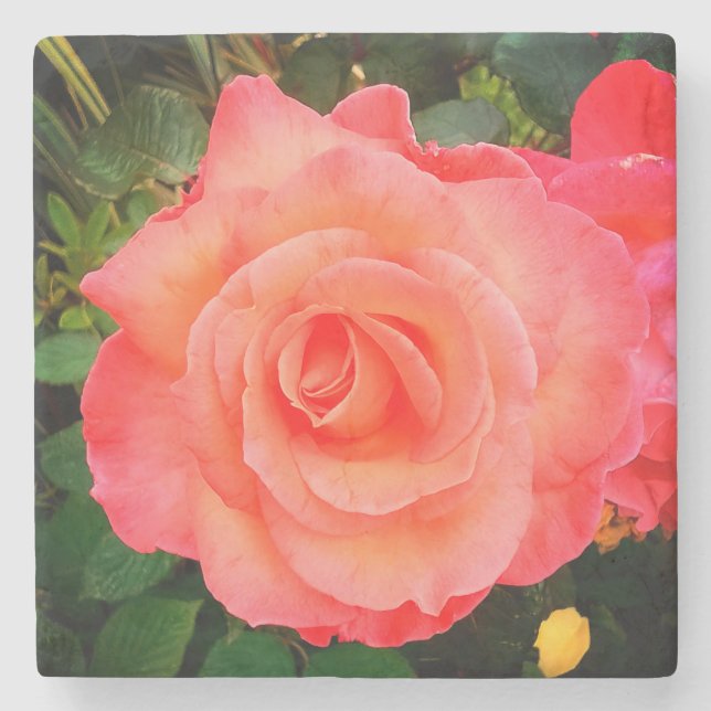 Peach rose stone coaster (Front)
