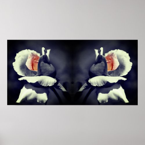 Peach Rosebud Black And White Partial Color Mirror Poster