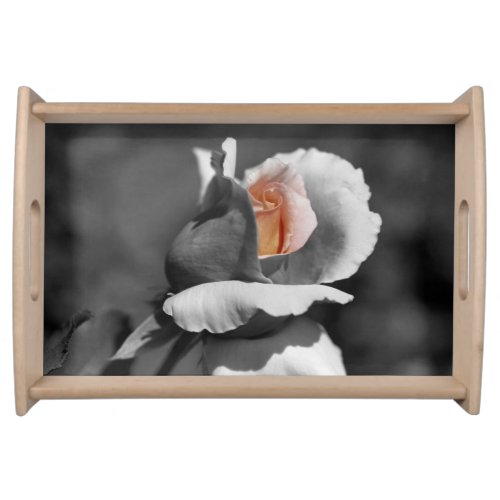 Peach Rosebud Black And White Partial Color  Serving Tray