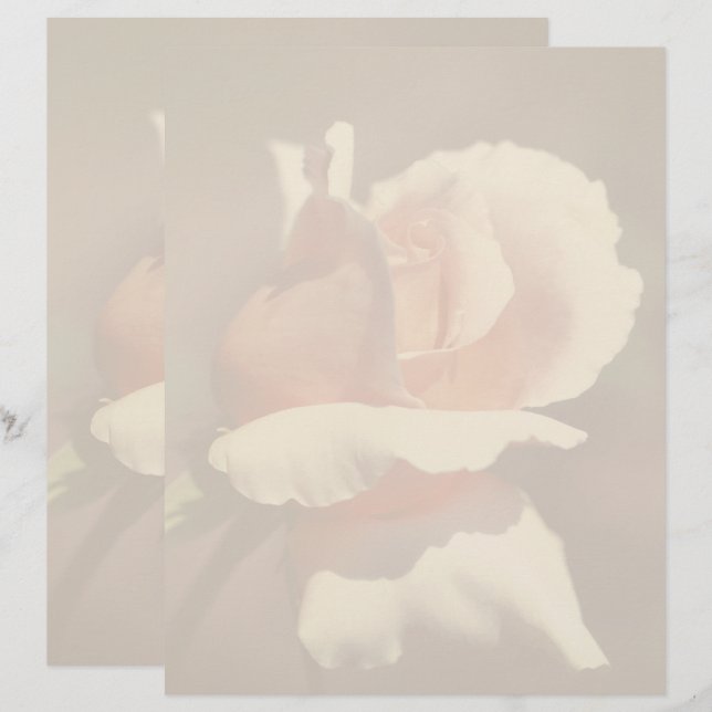 Peach Rosebud Flower Nature Letterhead (Front/Back)