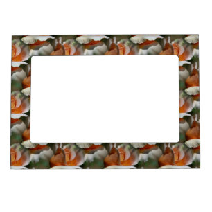 Peach Rosebud Flowers Magnetic Frame