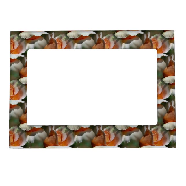 Peach Rosebud Flowers Magnetic Frame (Front)