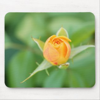 Peach Rosebud in Flight Mousepad