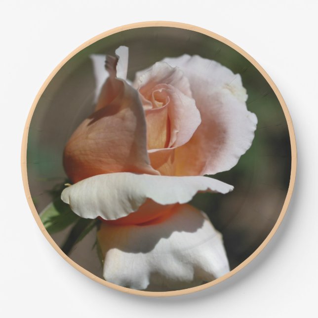 Peach Rosebud Party   Paper Plates (Front)