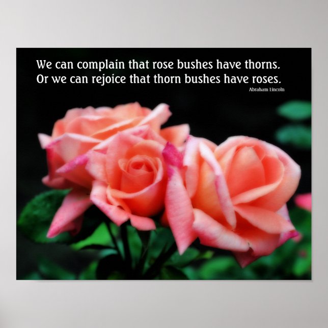 Peach Roses Attitude Inspirational Quote  Poster (Front)