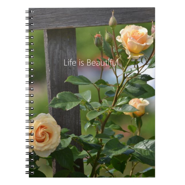 Peach Roses Fence Floral (my photography) Notebook (Front)