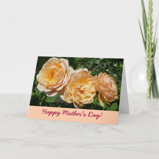 Peach Roses Mother's Day Card (Front)