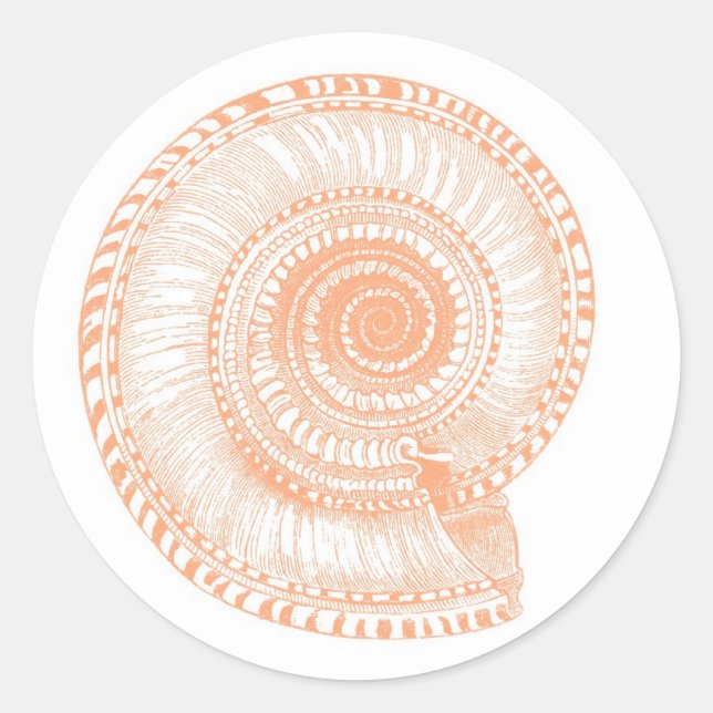 Peach Seashell Sticker (Front)