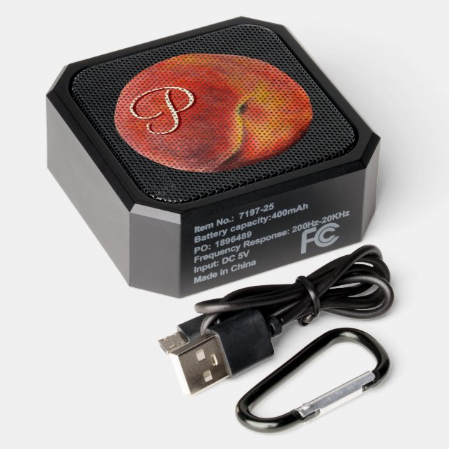Peach Speaker (Laydown)