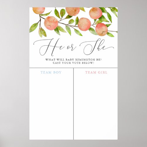Peach Theme Gender Reveal Voting Sign