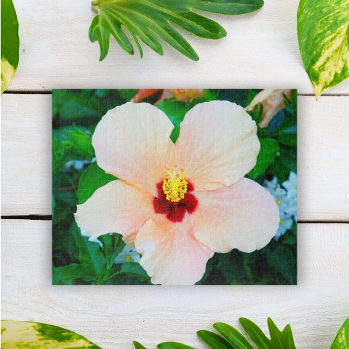 Peach Tropical Hibiscus From Venice Italy Jigsaw Puzzle