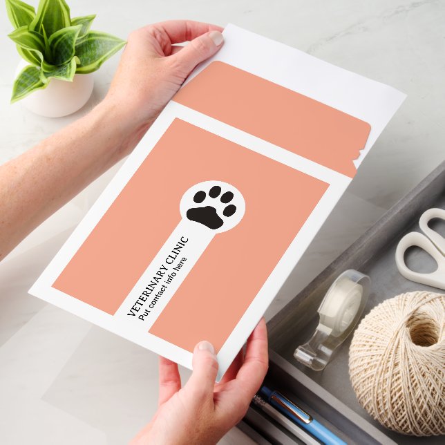 Peach Vet/Veterinary Clinic minimalist Envelope Mailers (Desk)
