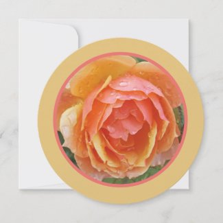 PEACH, YELLOW AND SALMON COLORED ROSE WITH RAINDRO