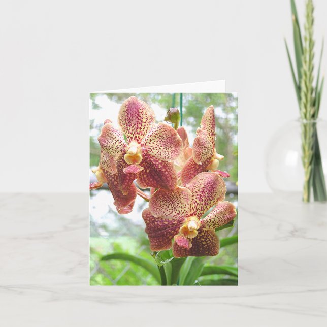 PEACH, YELLOW & MAGENTA-COLORED ORCHID CARD (Front)