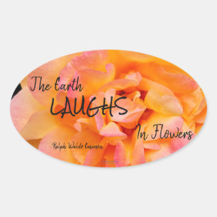 Peach Yellow Pink Blend Rose Flower Photo Oval Sticker