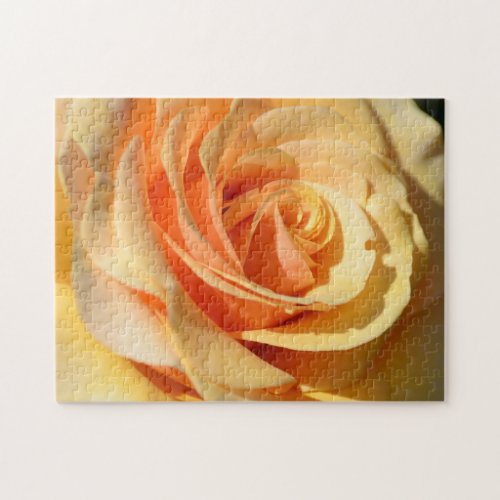 Peach Yellow Rose Jigsaw Puzzle