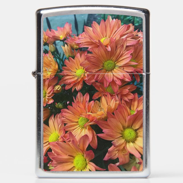 Peaches and Cream Daisies Zippo Lighter (Front)