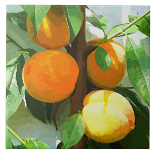 PEACHES CERAMIC TILE