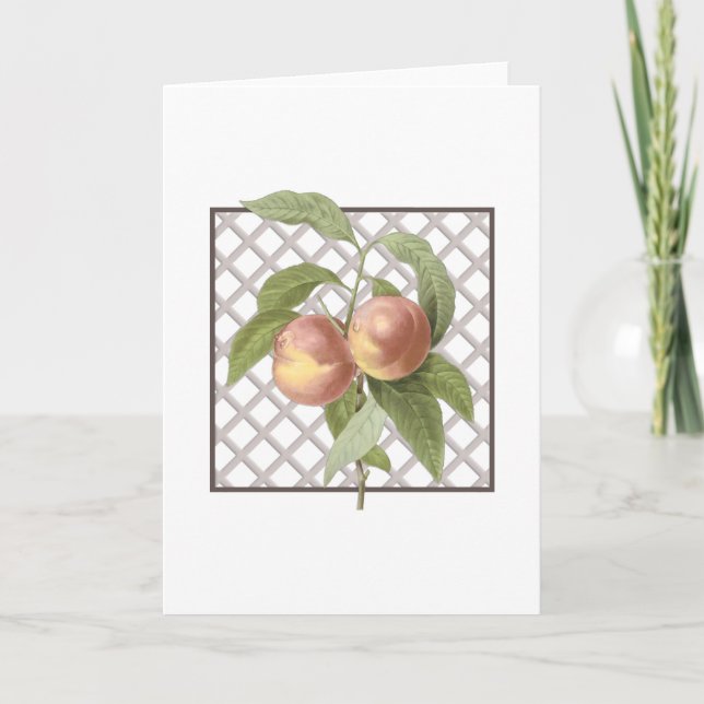 PEACHES LETTERPRESS THANK YOU CARD (Front)