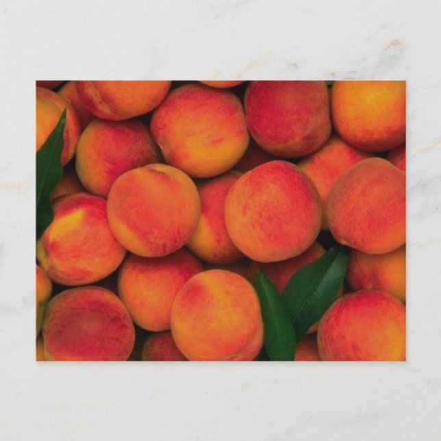 Peaches Postcard (Front)
