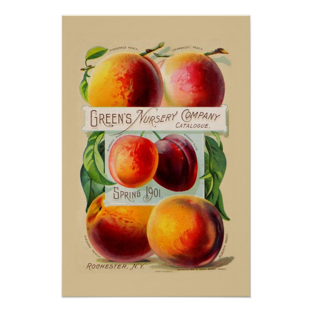 Peaches Poster (Front)