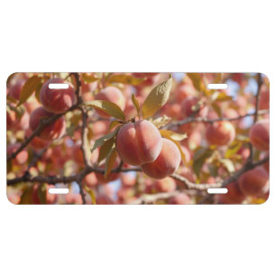 PEACHES READY TO PICK FARM TREE ORCHARD LICENSE PLATE