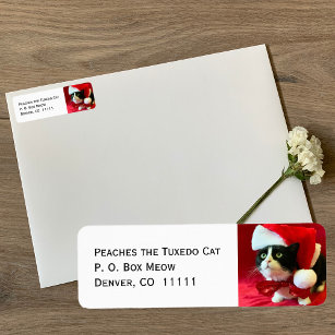 Peaches the Tuxedo Cat Christmas Address Labels